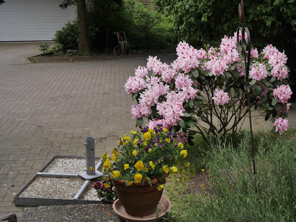 Villa Kukenkamp Rätzlingen Esterno foto